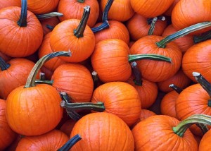 pumpkins